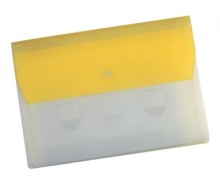 Transparent file bag