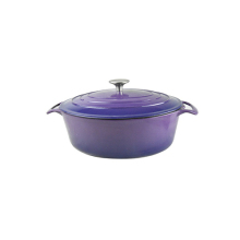 5 qt cast iron casserole