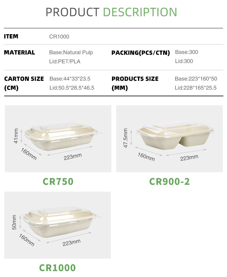 takeaway sugarcane bagasse pulp bowl with pet lid