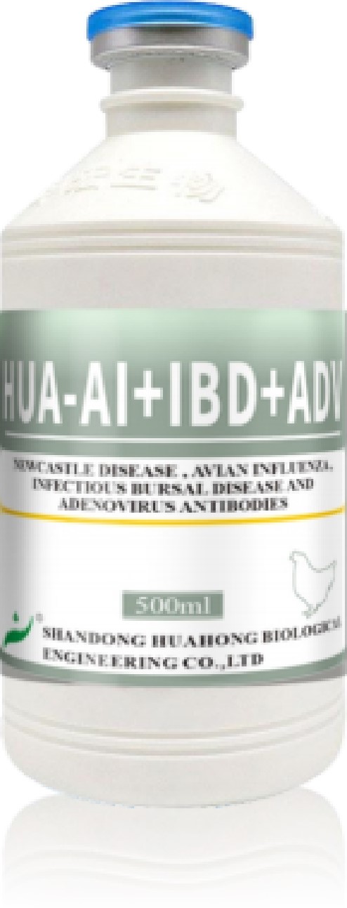 HUA-AI+IBD+ADV HUA-AI+IBD+ADV