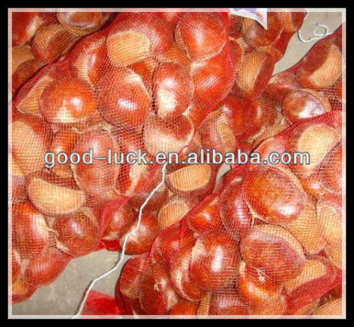 Chinese Fresh Chestnut,High Quality