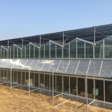 Excellent Sunshine Board Multi-span Greenhouse Customization