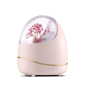 Flower aromatherapy Aroma Diffuser and humidifier