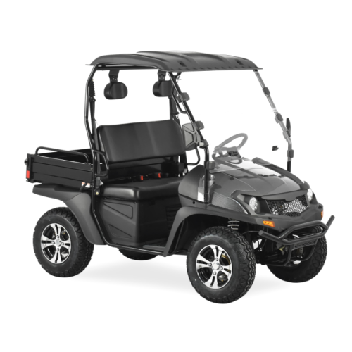 Hot Jeep Style 200cc EFI Carrito de golf