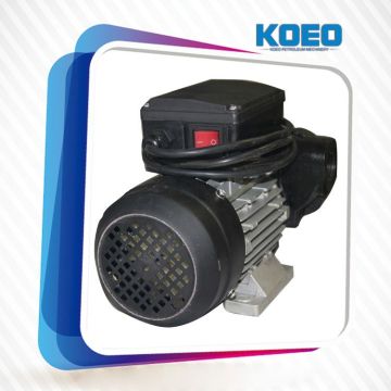 Hot-Sale Fuel Transfer Pumps