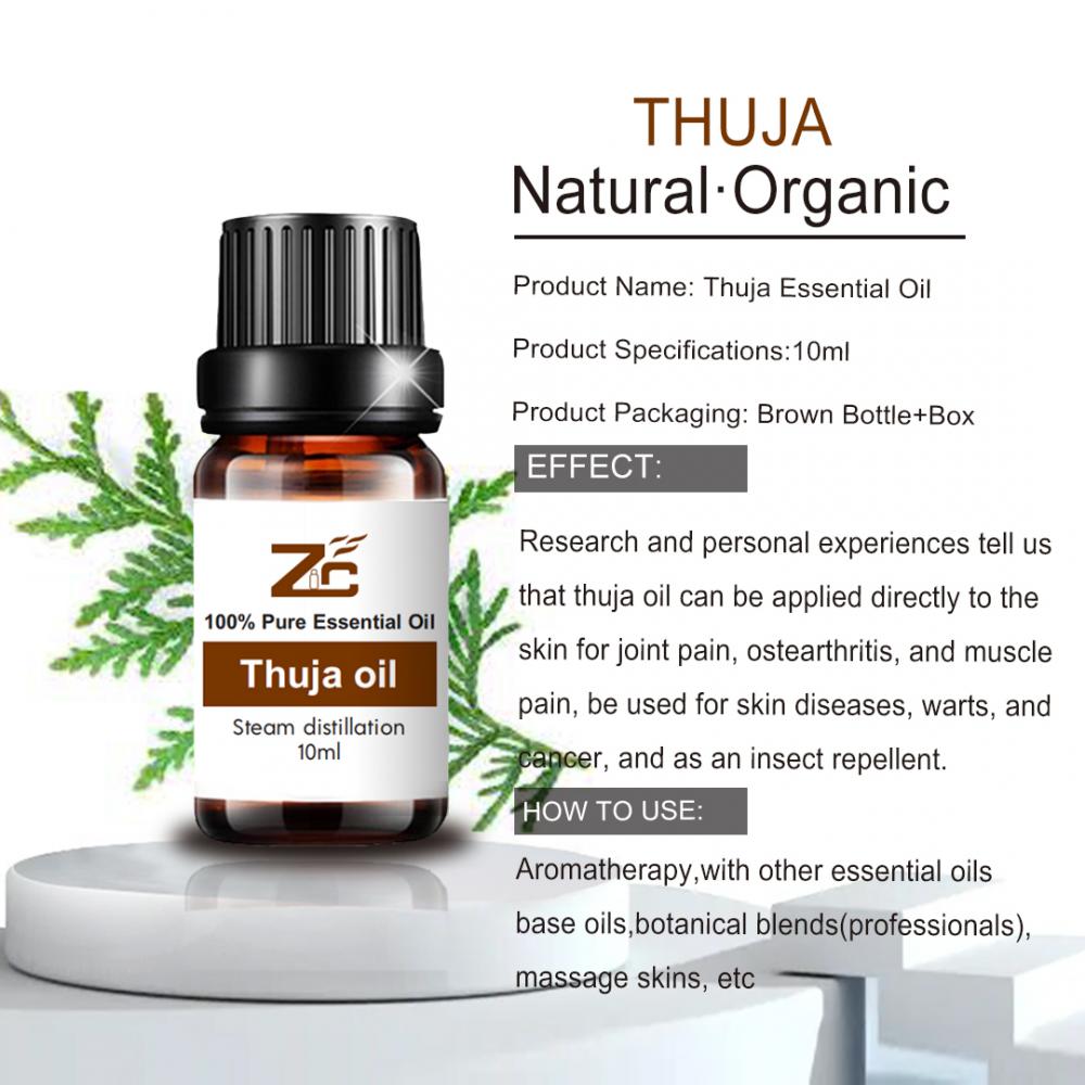 اسانس اسانس Thuja اسانس خالص