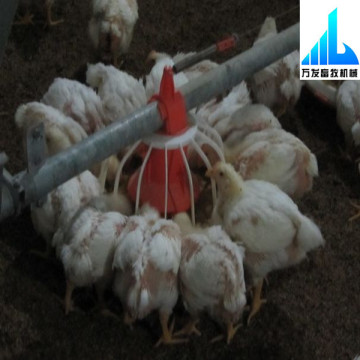 automatic commercial chicken equipment chicken feeding equipment