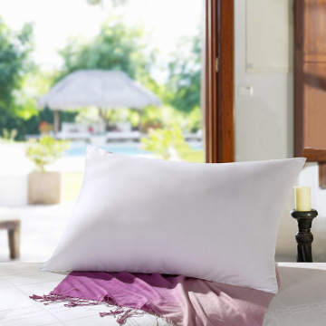 Germany Evolon Anti-Mite pillow