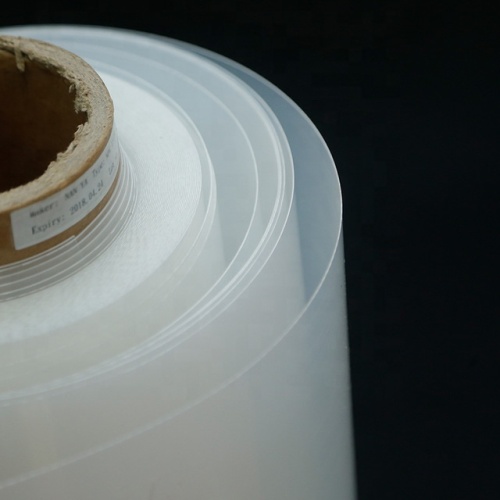 Roll film PS alami untuk nampan plastik termoforming