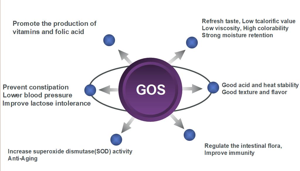 Galacto oligosaccharides GOS 90% poudre Galacto oligosaccharides GOS 90% Powder