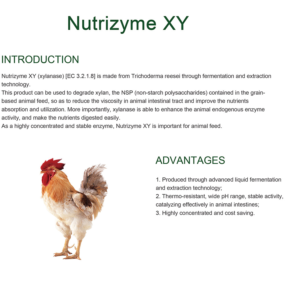 Sunson Xylanase للتغذية المضافة