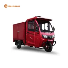 Multi Function Electric Tricycle with Closed Cargo Box