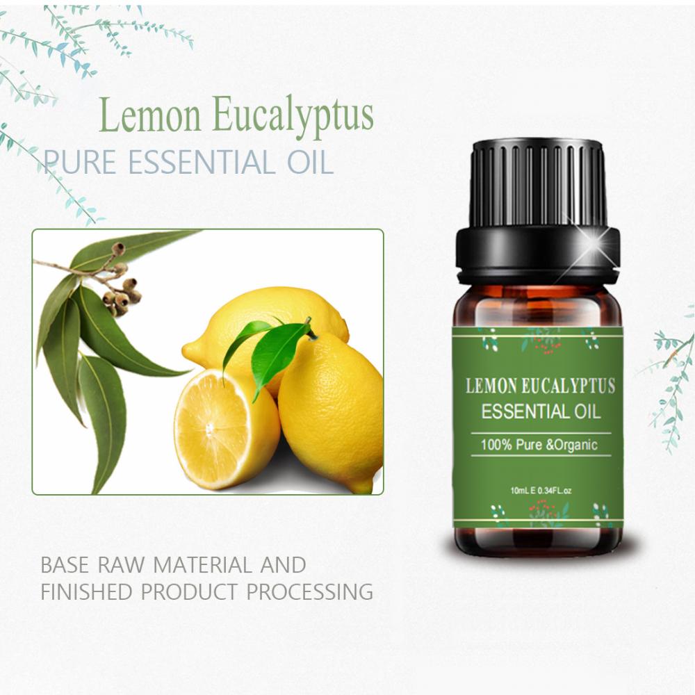 Pijat aromaterapi minyak lemon eucalyptus tingkat