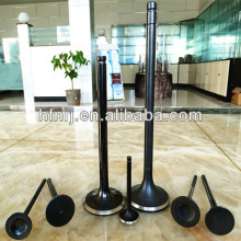 kohler engine parts used for 3304PC; 3306PC car engine valve