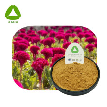 Celosia-Extraktpulver Celosia Cristata L. steigert die Immunität