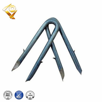 hot dip galvanized rolled staples for ground wire