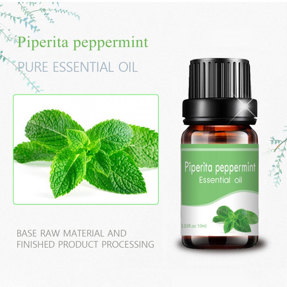 カスタムレーベルPiperita Peppermint Oil Whololesale Bulk Aroma