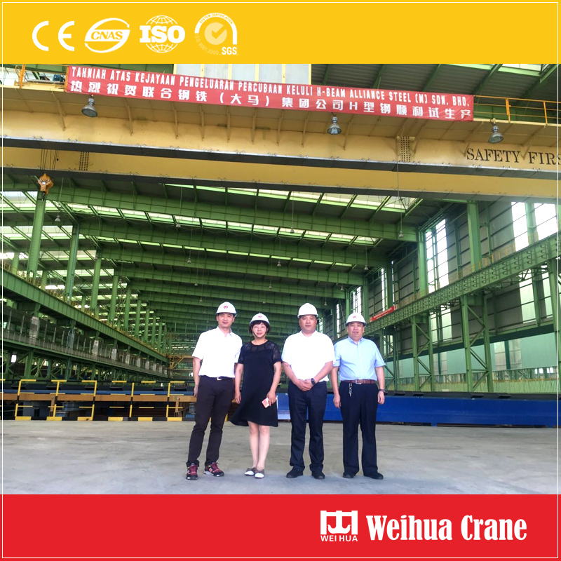 Weihua-steel-project-crane