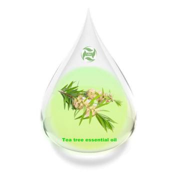 Tea Tree Oil Essential Price Supply Factory