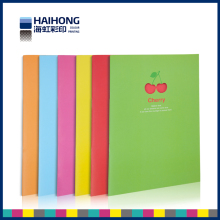 Custom Print Diary Book - Professional OEM Book Printing factory