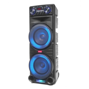 Trolley Speaker with Remote Control: Alexa Echo Dot & DJ Speaker