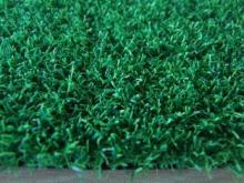 Bicolor Cricket Pitch Grass