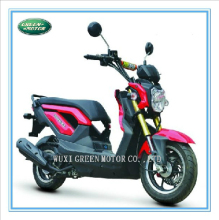 Motor Scooter, Gas Scooter, Scooter, Sport Motorcycle (ZOOMER)