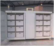 bean sprout machine/soya bean/sunflowe sprout machine