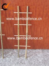 Substantial natural bamboo trellis