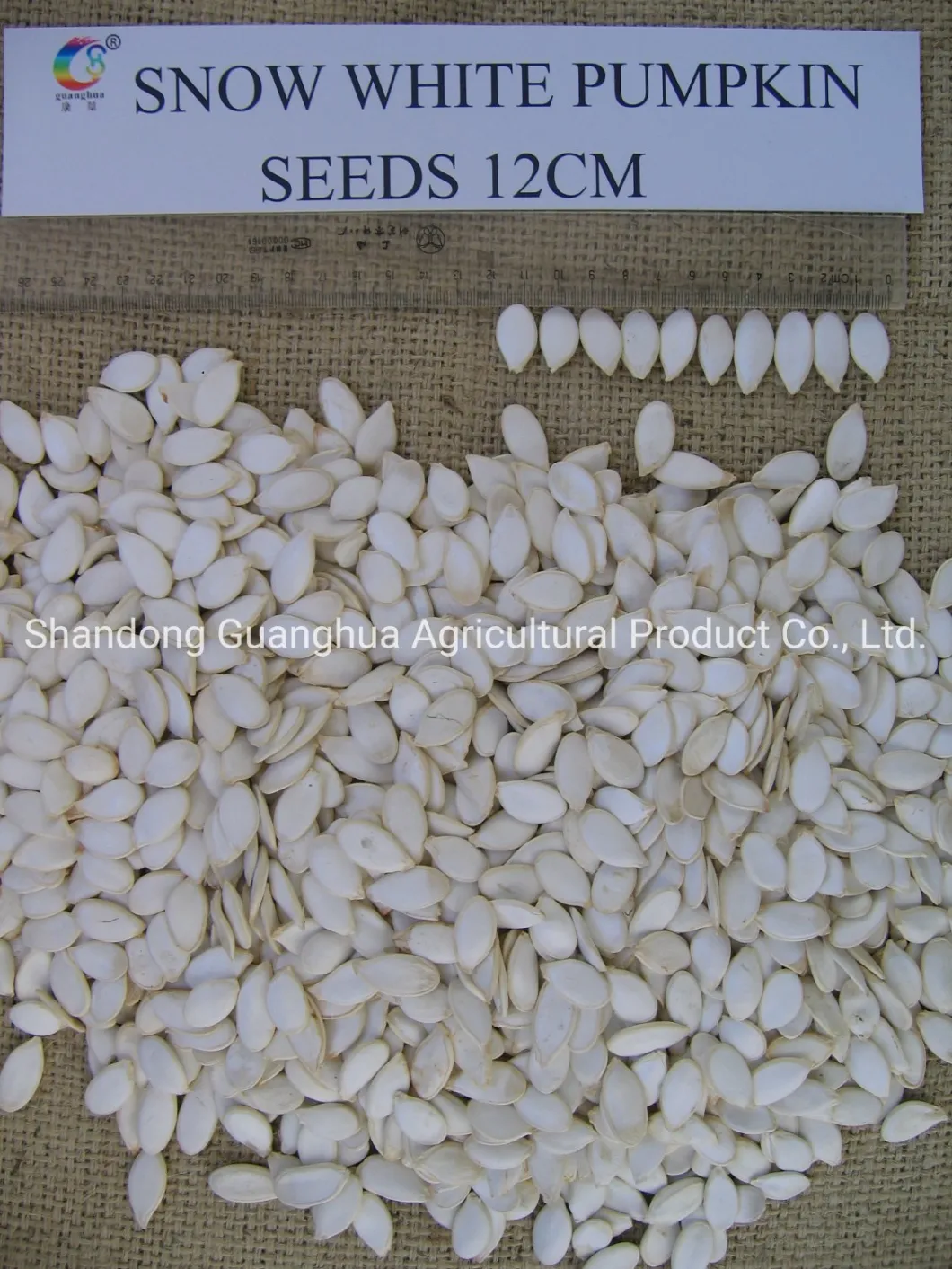 AAA Snow White Pumpkin Seeds with High Quality