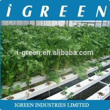 Commercial NFT hydroponics system