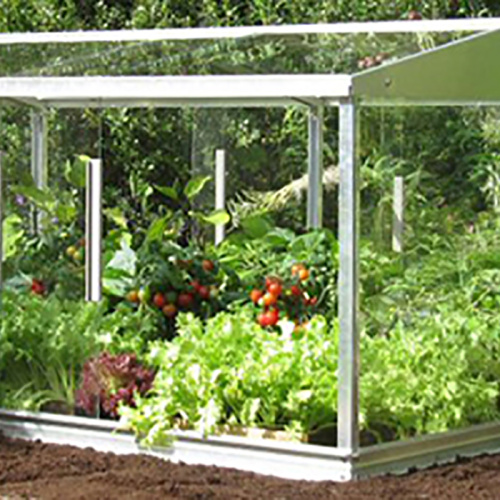 Petite serre de jardin en verre pour famille