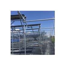 Long-lasting Agricultural Solar Panel Mounting Systems: Anodized and Customized Solutions from Xiamen, Offering 10 to 20 Years Durability