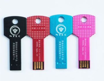 Key usb 2.0 memory(NK001) provided by Torovo usb 2.0 memory manufacturers