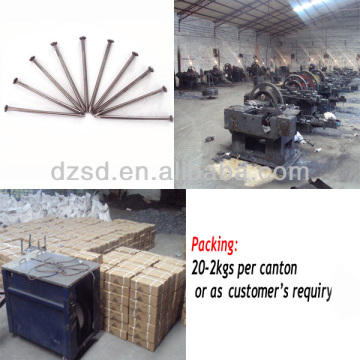 factory !!Common Iron Nails/galvanized or polished common nails