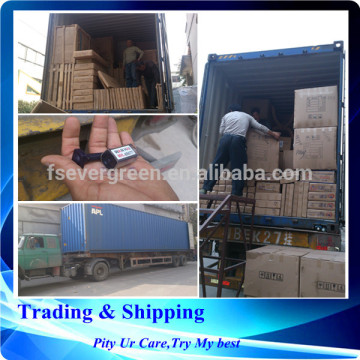 Shipping logistics export container to Israel from Foshan