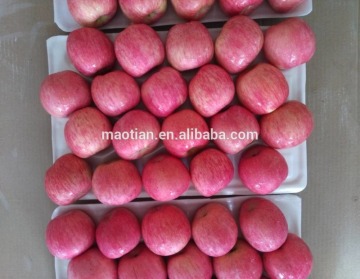 China Red Fuji Apples