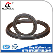 High Performance Spring loaded lip seals