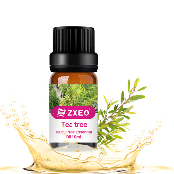 Aromaterapia Árbol de té orgánico Aceite esencial Aceite de té puro natural para el cabello Piel del cuero cabelludo Difusor del acné del cuero cabelludo