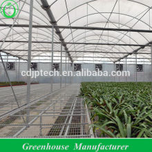 PEP Plastic Dome Greenhouse