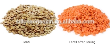 Chine best sale dry red lentil dehulling machine