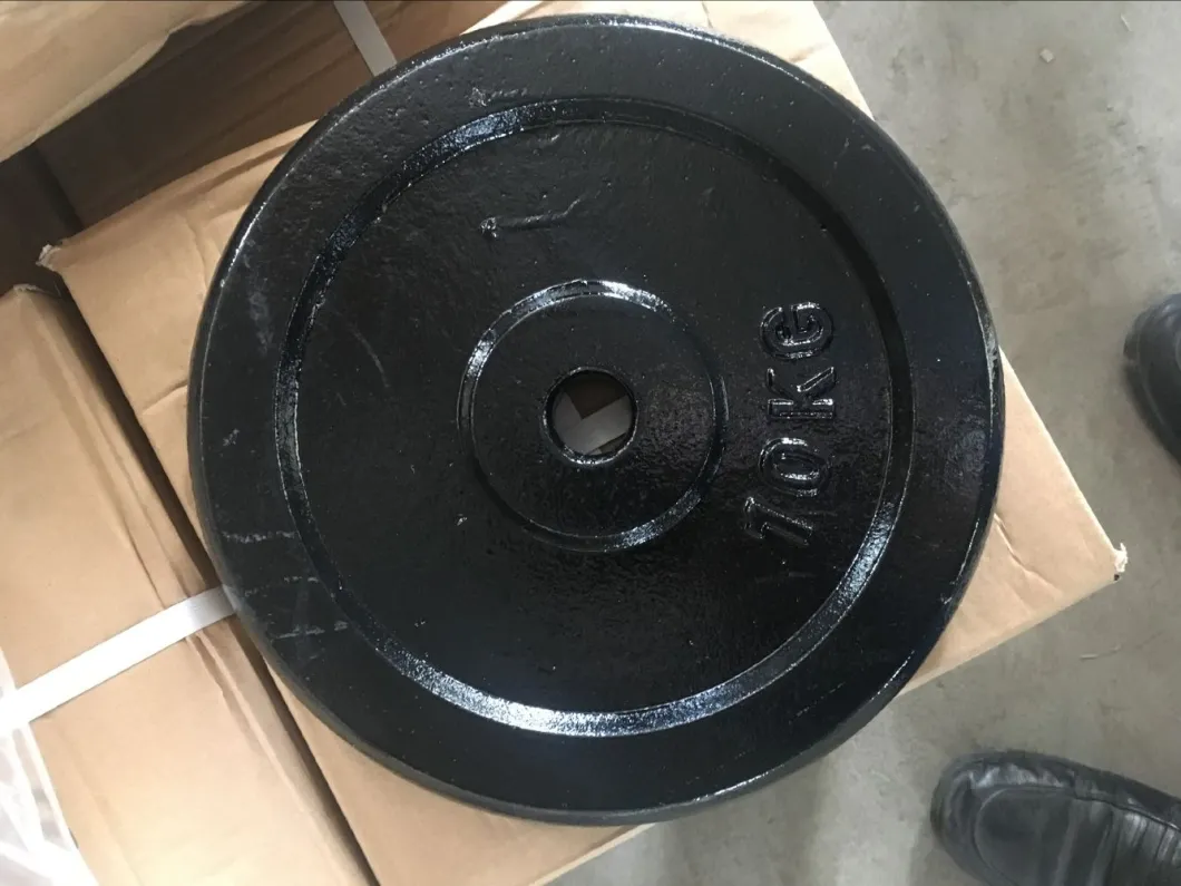 Cast Iron Bumper Plate for Olympic Barbell