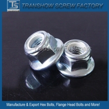 Nylon Insert Flange Nut