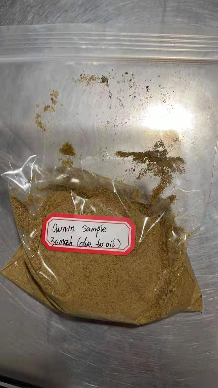 Muestra de comino 30Mesh JPG Cumin Sample 30mesh Jpg