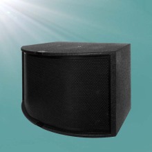 Powerful 300W Professional Speakr for Stage, Hall, Church