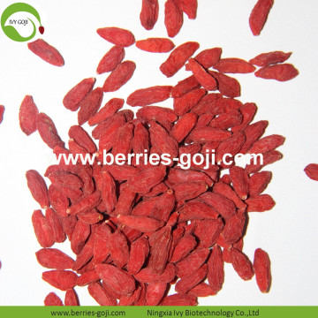 Factory Supply Pure Authentic Non GMO Wolfberries