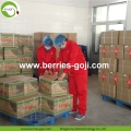 Dostawa fabryczna Pakiet owocowy Low Sugar Goji Berries