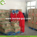 Baies de Goji à faible teneur en sucre