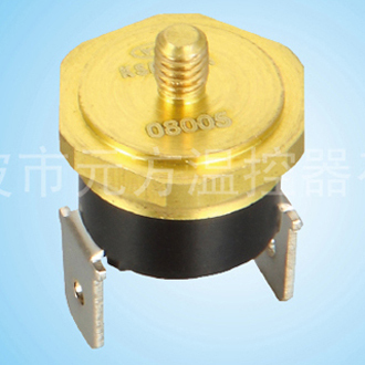 Auto Car Thermostat 