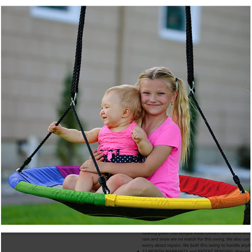 Colorful Giant Saucer Tree Swing with Bonus Carabiner